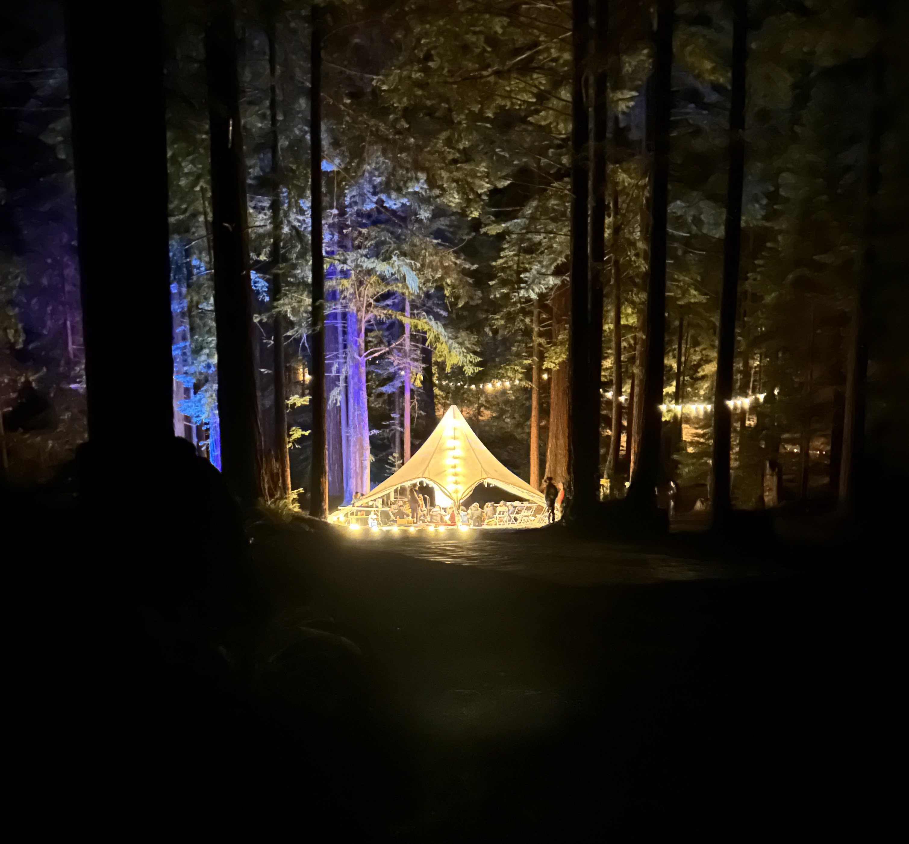 Tea Tent at Night